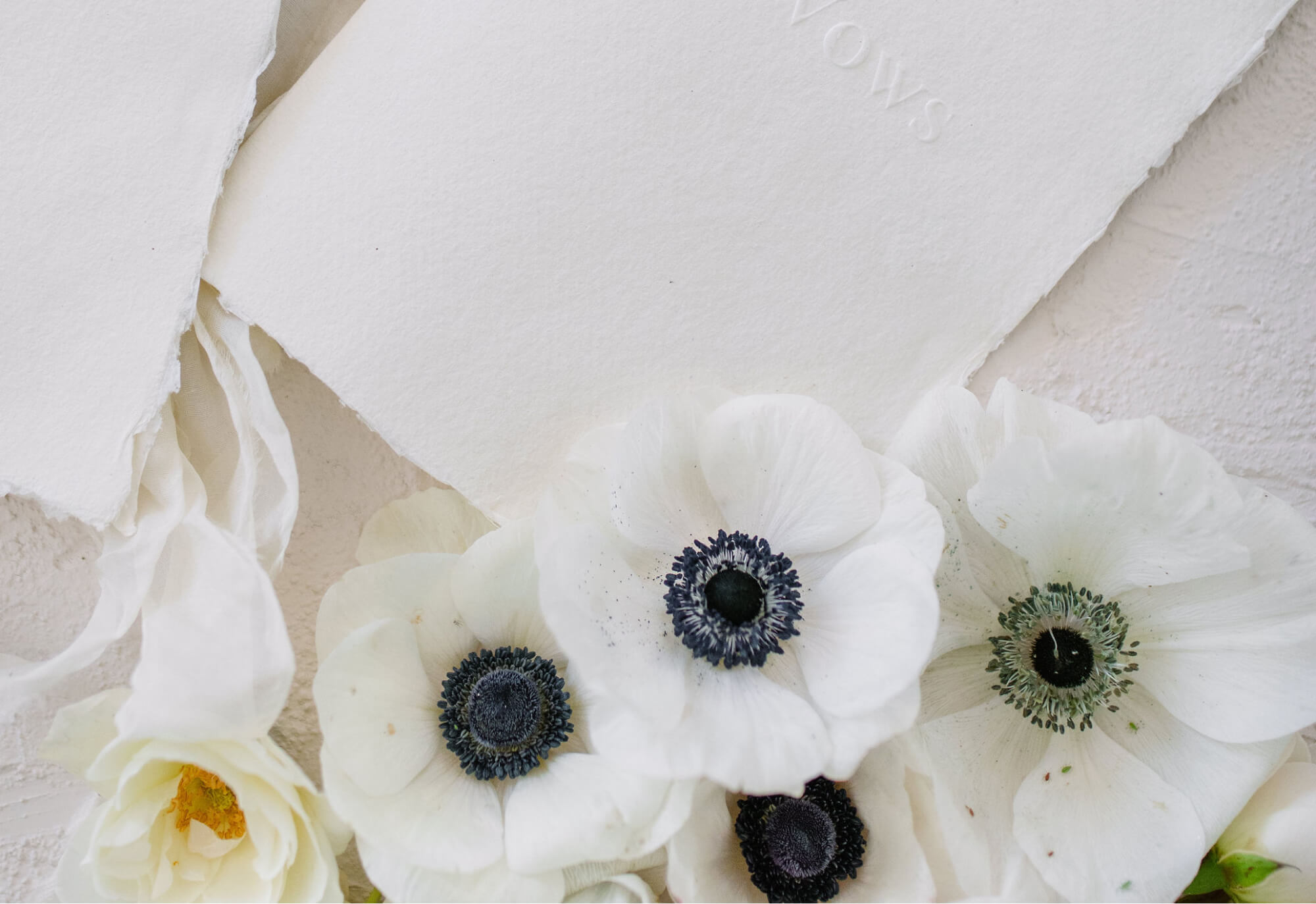 Indigo & Ivory - Home 1